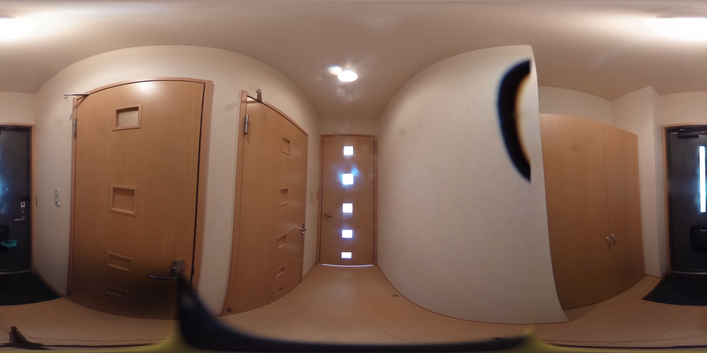パノラマ写真