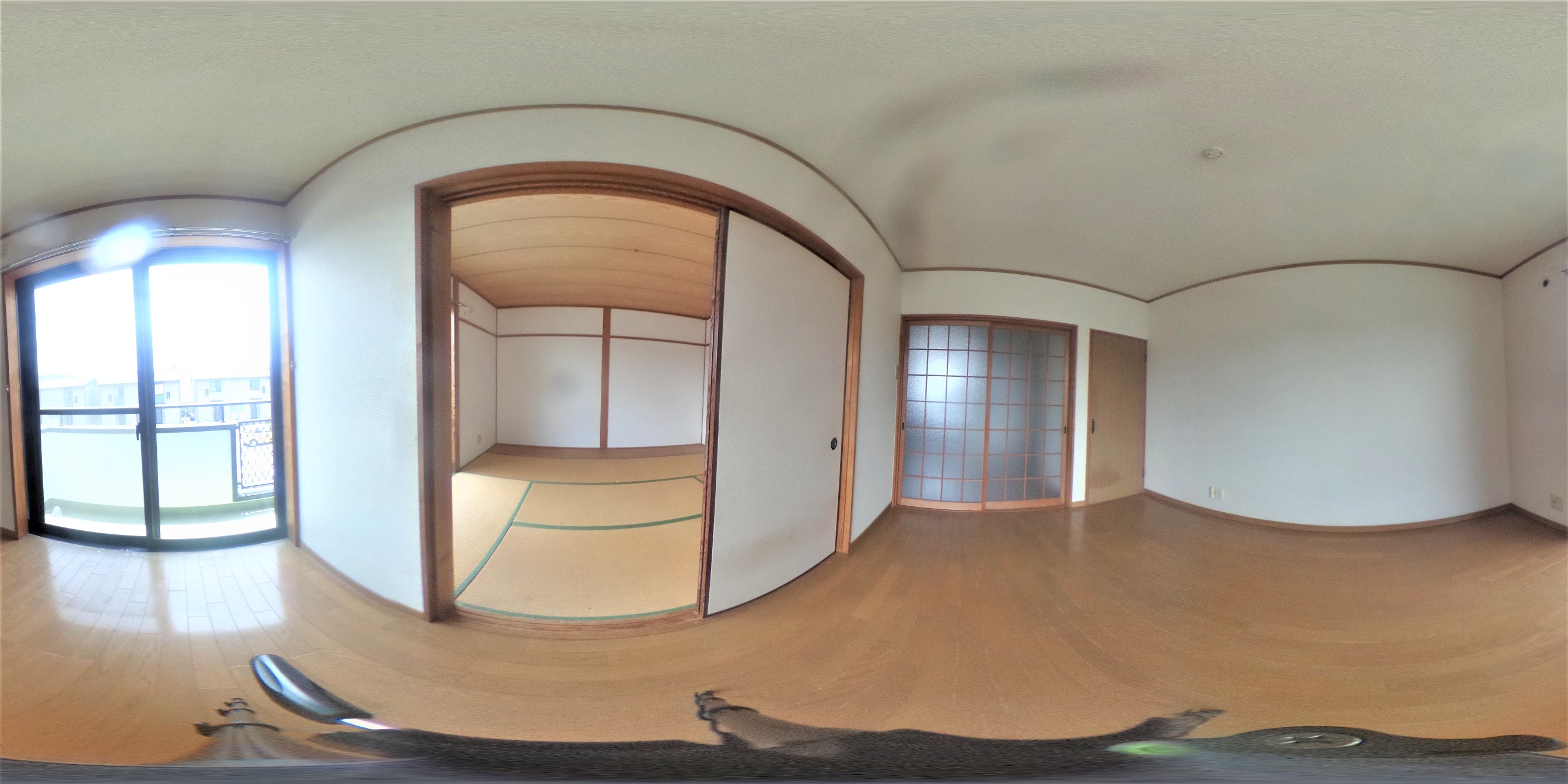 パノラマ写真
