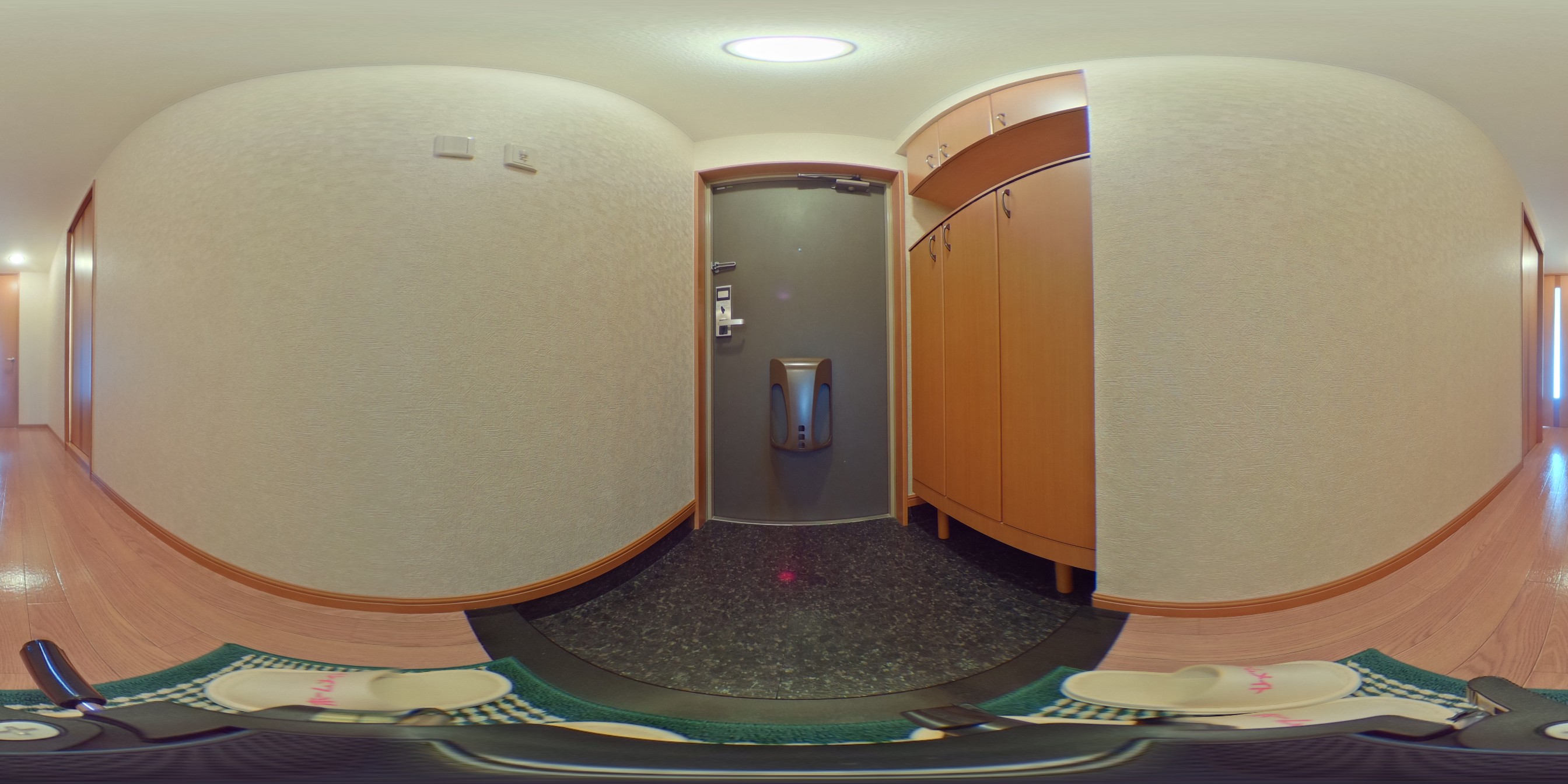パノラマ写真