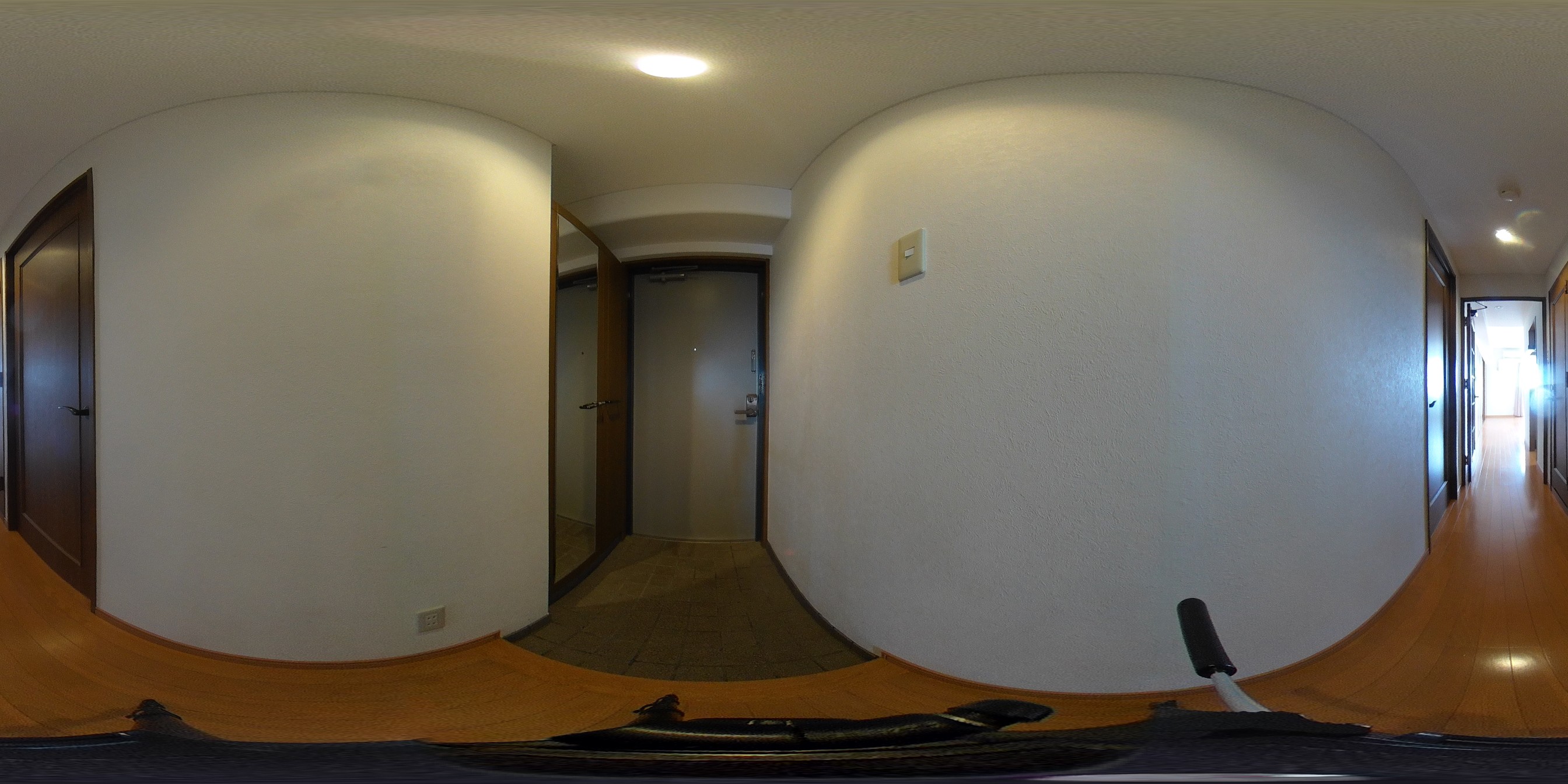 パノラマ写真
