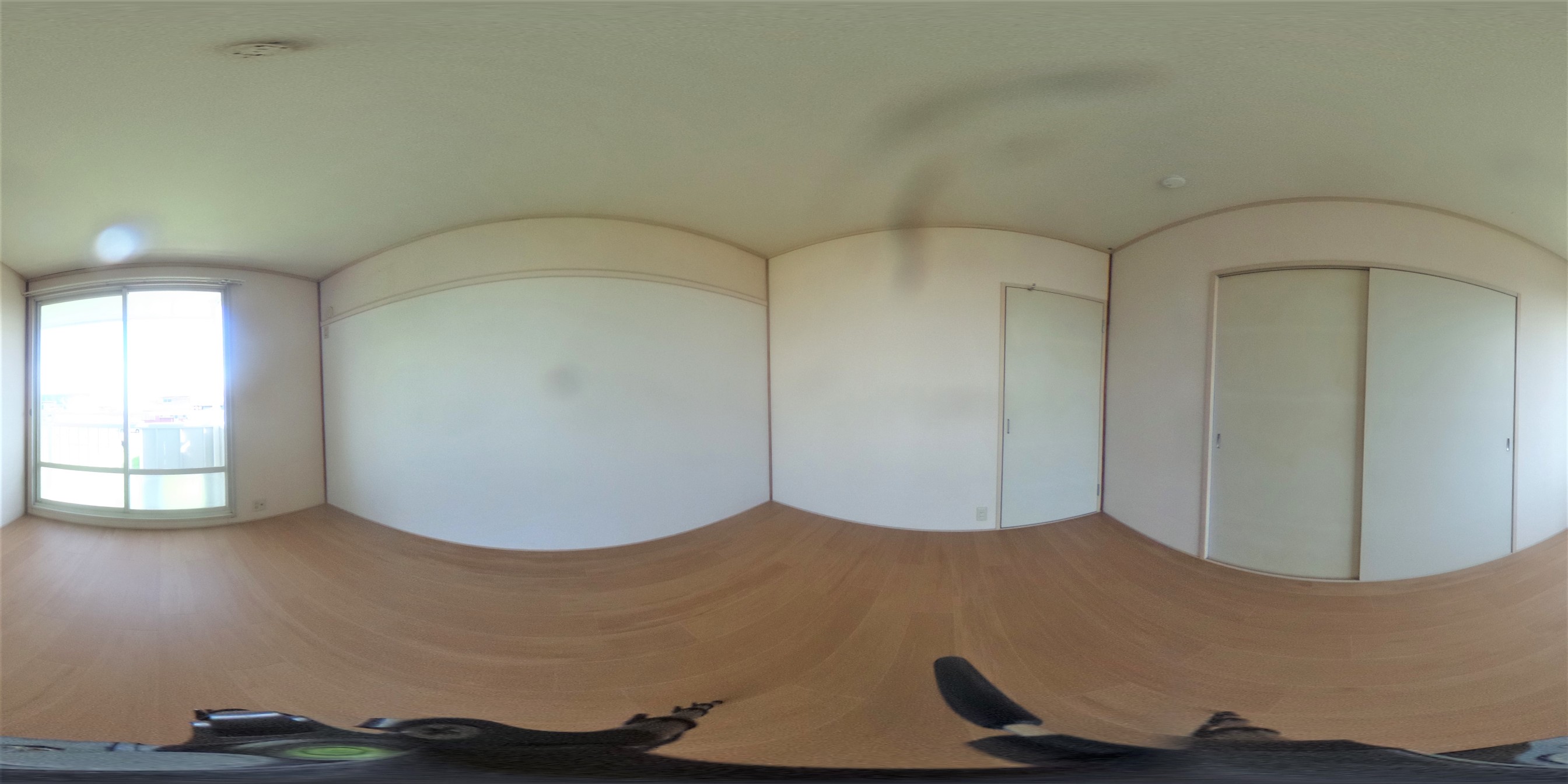 パノラマ写真