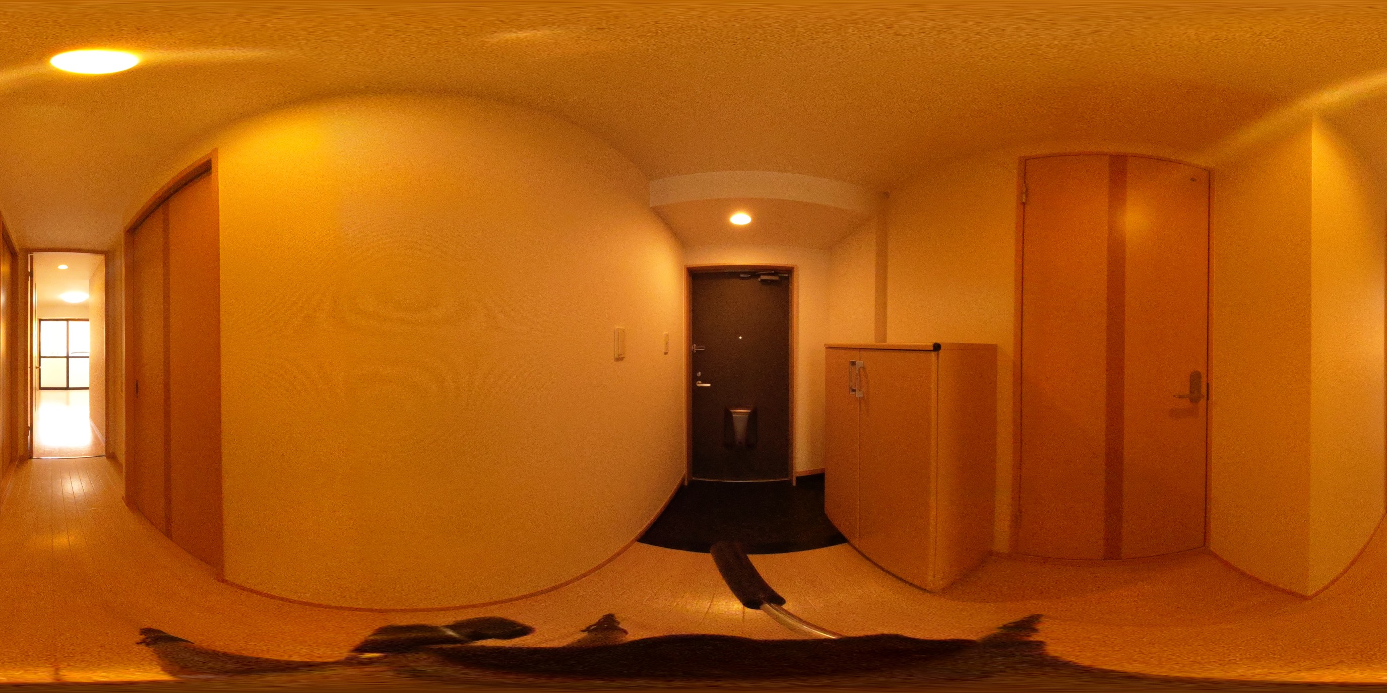 パノラマ写真