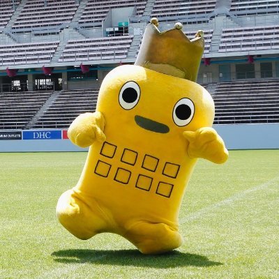 パノラマ写真